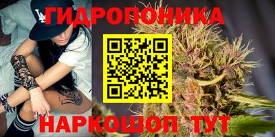 герыч Бердск